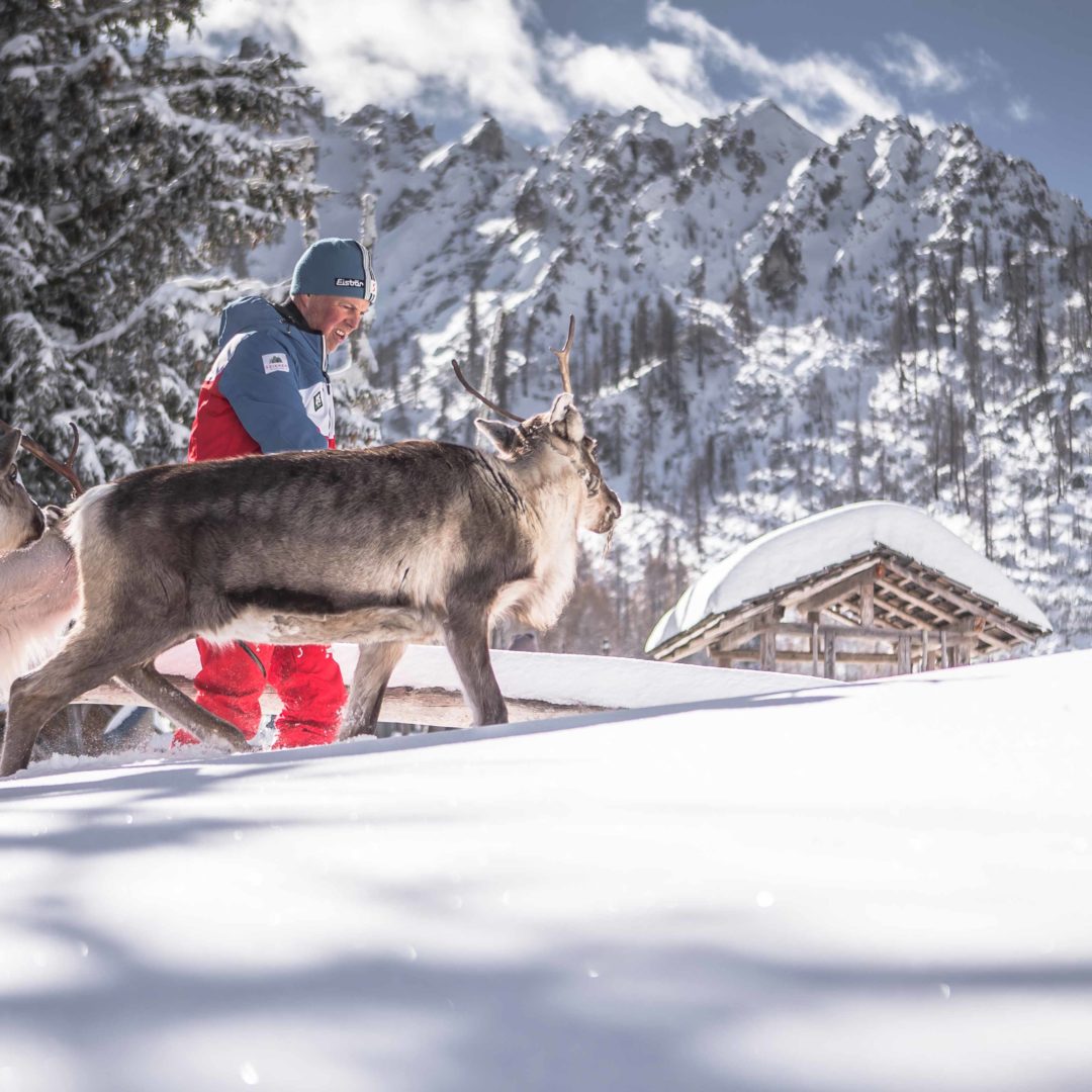 innichen-last-img innichen-last-img